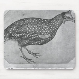 Guinea Fowl, from the The Vallardi Album Mouse Mat