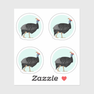 Guinea fowl illustration