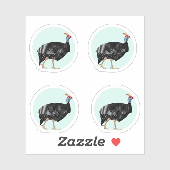 Guinea fowl illustration (Sheet)