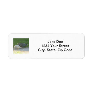 Guinea Fowl Label