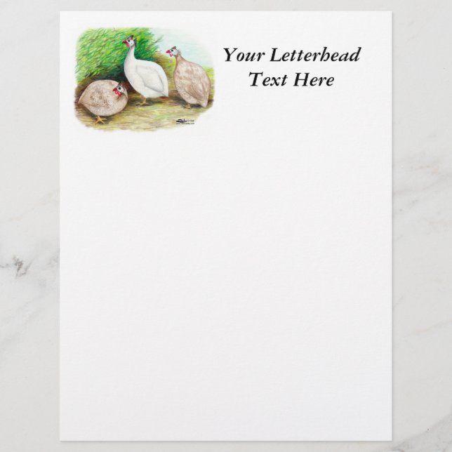 Guinea Fowl Outside (Front)