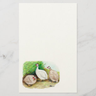 Guinea Fowl Outside Stationery