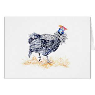 Guinea hen