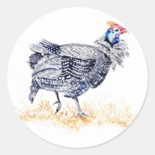 Guinea hen classic round sticker