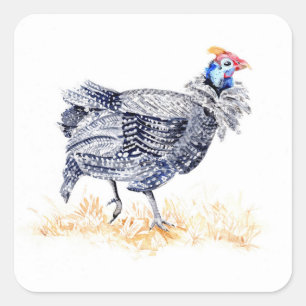Guinea hen square sticker