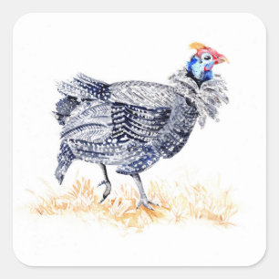 Guinea hen square sticker