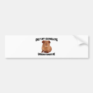 GUINEA.jpg Bumper Sticker