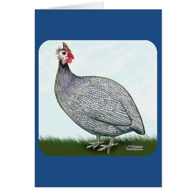 Guinea Lavender On Watch (Front)