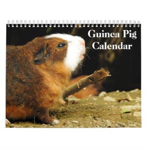 Guinea Pig 2025 Calendar