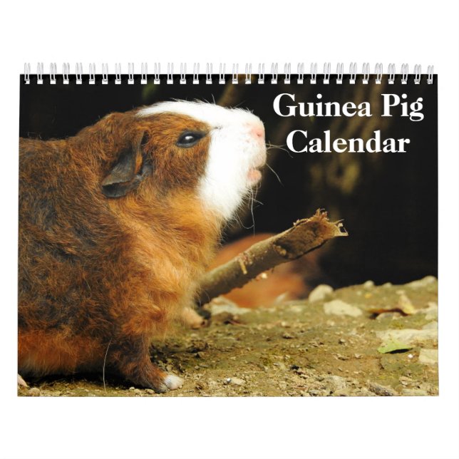Guinea Pig 2026 Calendar (Cover)