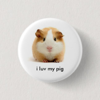 guinea pig 3 cm round badge