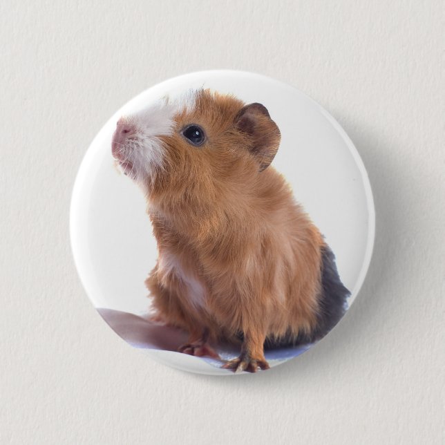 guinea pig 6 cm round badge (Front)
