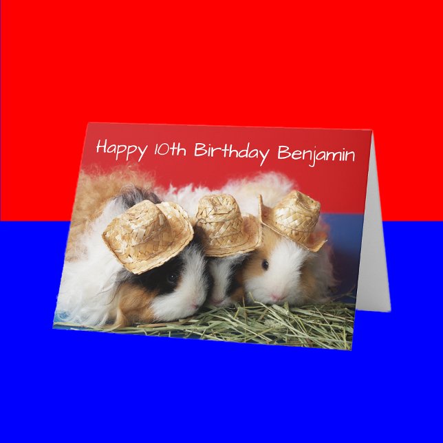 Guinea Pig 8th, 9th, 10th etc. Kid Birthday Card (Creator Uploaded)