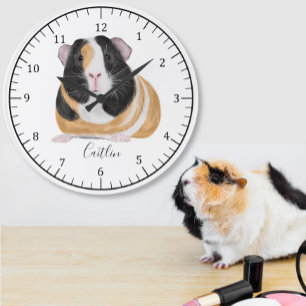 guinea pig add name large clock