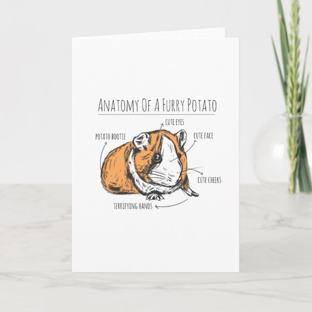 Guinea pig anatomy card (Front)