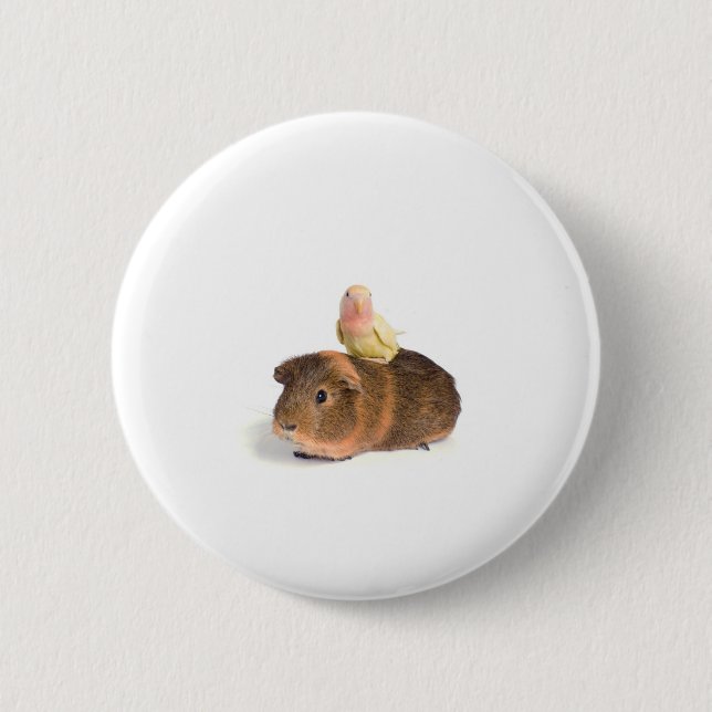 guinea pig and yellow bird 6 cm round badge (Front)
