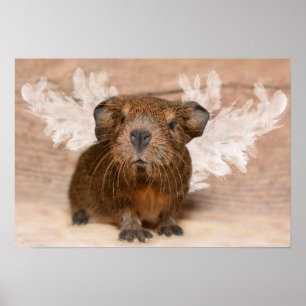 Guinea Pig Angel Poster