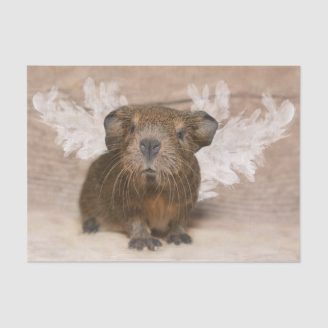 Guinea Pig Angel Tissue Paper (Front)
