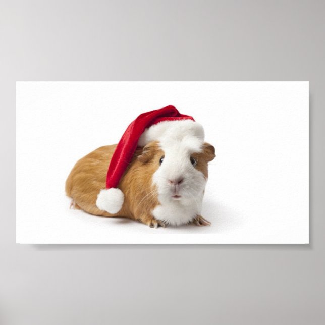 Guinea Pig Art Poster (Front)