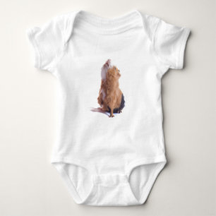 guinea pig, baby bodysuit