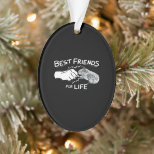 Guinea Pig Best Friends For Life Funny Guinea Pig Ornament