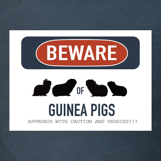 Guinea Pig Beware Poster (Creator Uploaded)