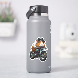 Guinea Pig Biker on Vintage Motorcycle, Road Trip