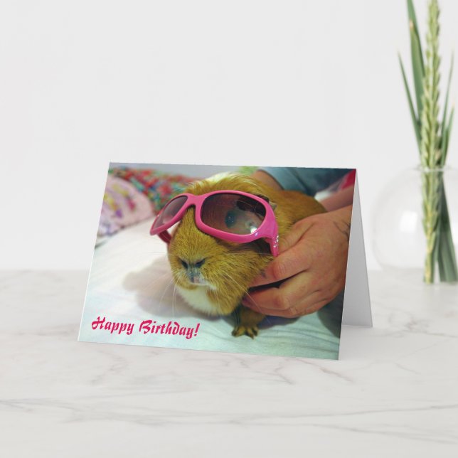 Guinea pig Birthday Card (Front)