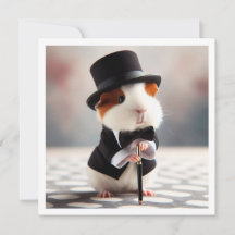 Guinea pig birthday, Guinea pig blk tie