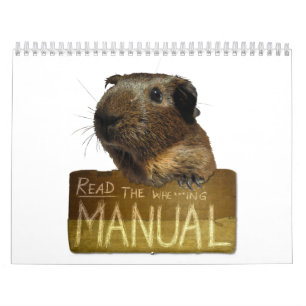 Guinea Pig Calendar 2013