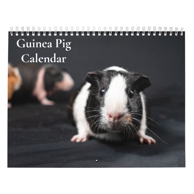 Guinea Pig Calendar 2026 (Cover)