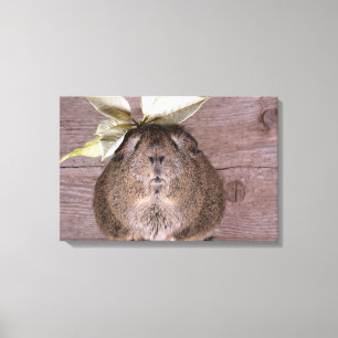 Guinea pig canvas print