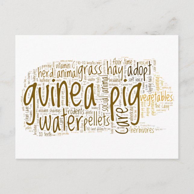 Guinea Pig Care Tips Word Cloud Postcard (Front)