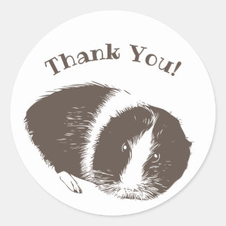 Guinea Pig Cavy Thank You  Classic Round Sticker