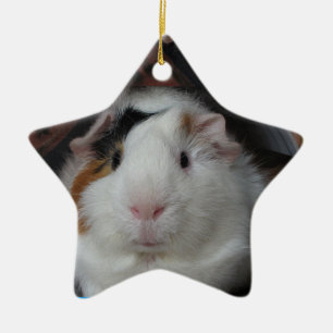 Guinea pig ceramic tree decoration