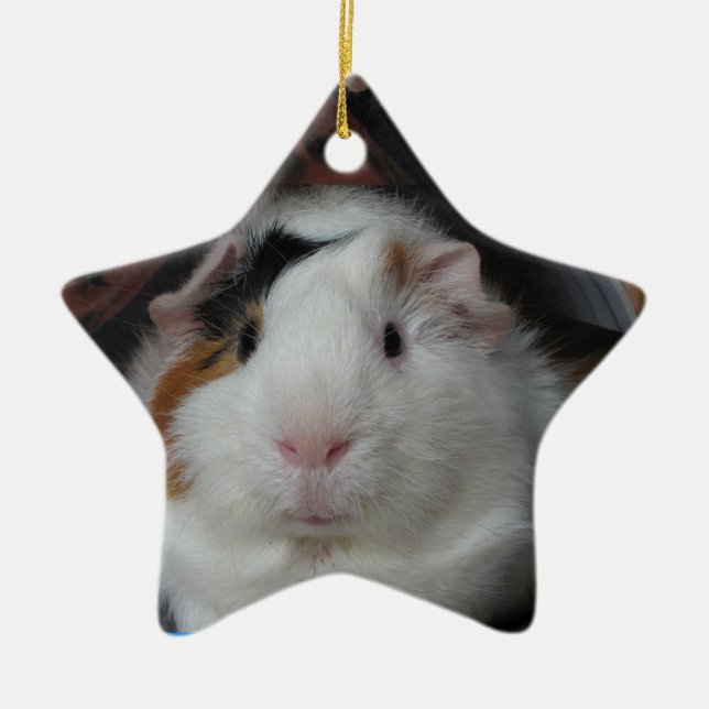 Guinea pig ceramic tree decoration (Front)