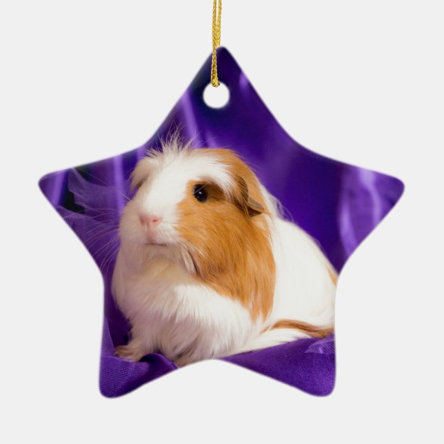 guinea pig ceramic tree decoration (Front)