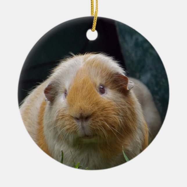 Guinea pig ceramic tree decoration (Front)