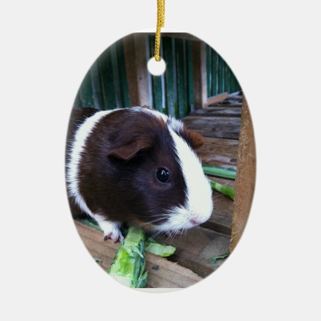 guinea pig ceramic tree decoration (Front)