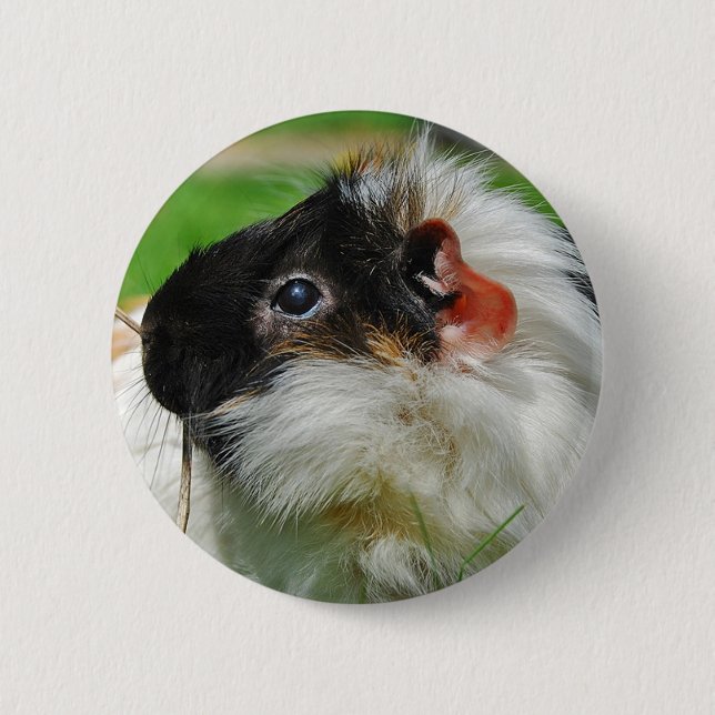 Guinea pig Chewie 6 Cm Round Badge (Front)