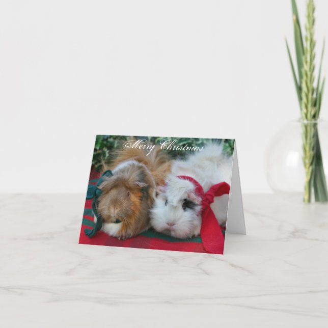 Guinea Pig Christmas Card (Front)