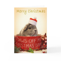 Guinea Pig Christmas Card