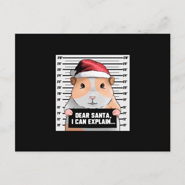 Guinea Pig Christmas Cavy|Dear Santa I Can Explain Postcard (Front)