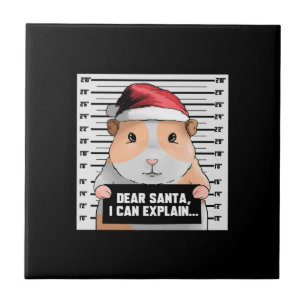 Guinea Pig Christmas Cavy Dear Santa I Can Explain Tile