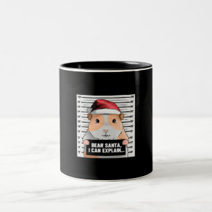 Guinea Pig Christmas Cavy Dear Santa I Can Explain Two-Tone Coffee Mug
