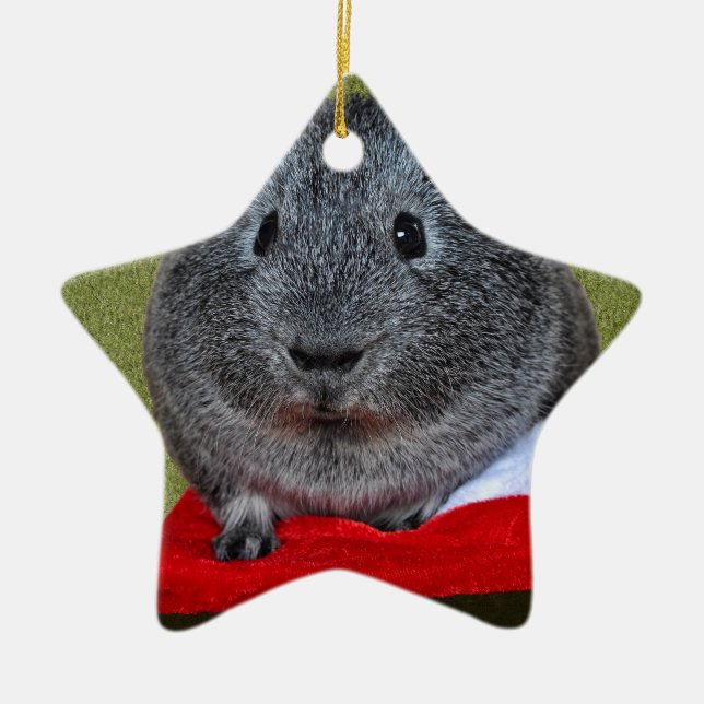Guinea Pig Christmas Ceramic Tree Decoration (Front)