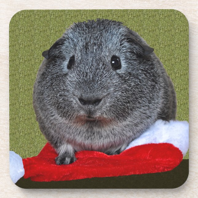 Guinea Pig Christmas Coaster (Front)