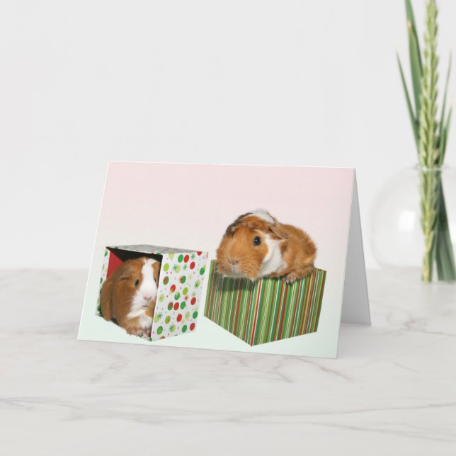 Guinea Pig Christmas Holiday Card (Front)