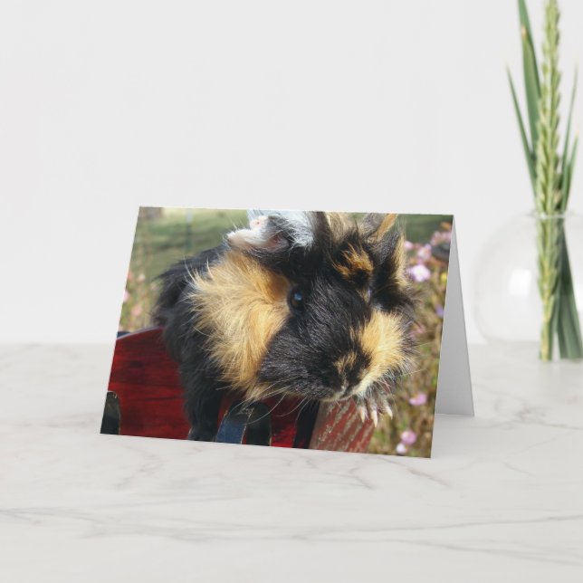 Guinea Pig Christmas Holiday Card (Front)