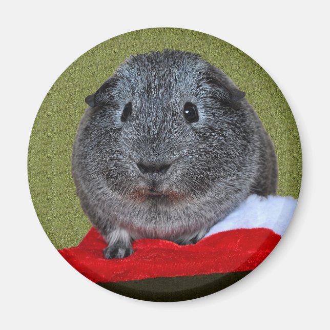 Guinea Pig Christmas Magnet (Front)